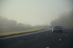 .resize_DSC_7993.JPG