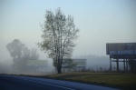 .resize_DSC_7994.JPG