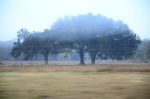 .resize_DSC_7995.JPG