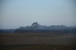 .resize_DSC_7998.JPG