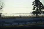 .resize_DSC_8000.JPG