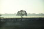 .resize_DSC_8003.JPG