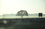 .resize_DSC_8004.JPG
