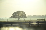 .resize_DSC_8005.JPG