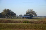 .resize_DSC_8006.JPG