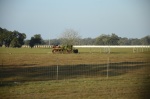 .resize_DSC_8010.JPG