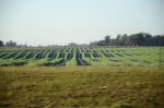 .resize_DSC_8011.JPG