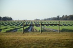.resize_DSC_8012.JPG