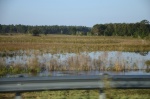 .resize_DSC_8015.JPG