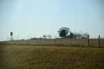 .resize_DSC_8016.JPG
