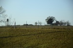 .resize_DSC_8017.JPG