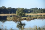 .resize_DSC_8027.JPG