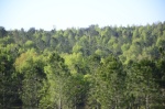 .resize_DSC_8035.JPG