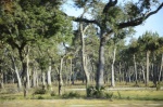 .resize_DSC_8053.JPG