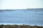 .resize_DSC_8059.JPG