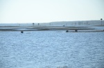 .resize_DSC_8061.JPG