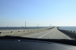 .resize_DSC_8092.JPG