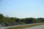 .resize_DSC_8107.JPG