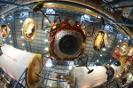 .resize_DSC_4888.jpg