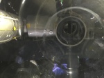 .resize_IMG_9850.jpg