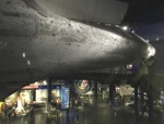 .resize_IMG_9855.jpg