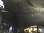 .resize_IMG_9857.jpg