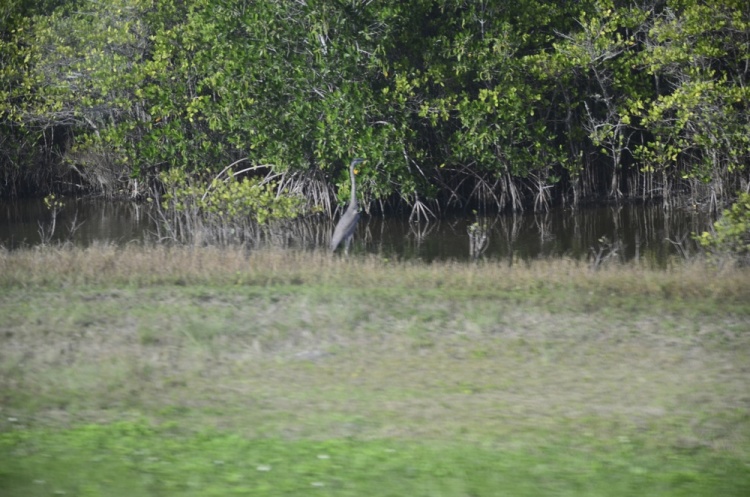 .resize_DSC_4681.jpg