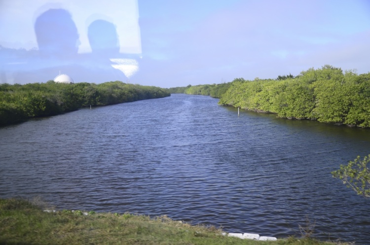 .resize_DSC_4684.jpg