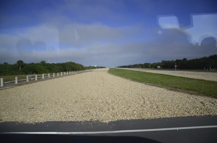 .resize_DSC_4729.jpg