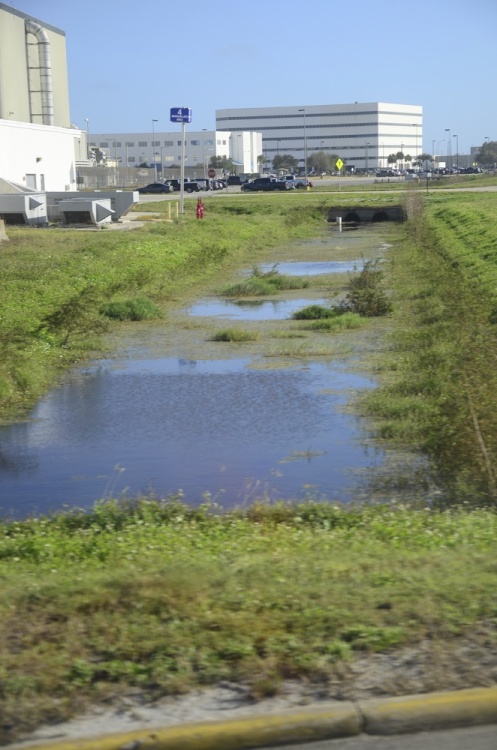 .resize_DSC_4810.jpg