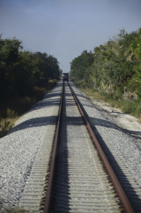 .resize_DSC_4816.jpg