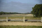 .resize_DSC_4649.jpg