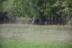 .resize_DSC_4681.jpg