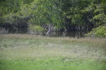 .resize_DSC_4682.jpg
