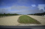 .resize_DSC_4730.jpg