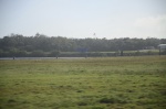 .resize_DSC_4743.jpg