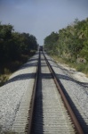 .resize_DSC_4816.jpg