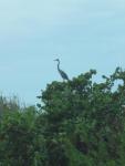 .resize_DSC04341.JPG