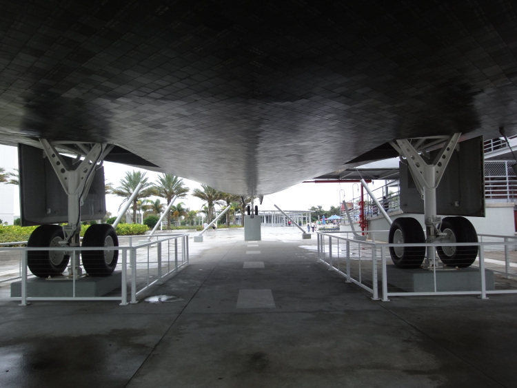 .resize_DSC04469.JPG