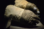 .resize_DSC_8344.JPG