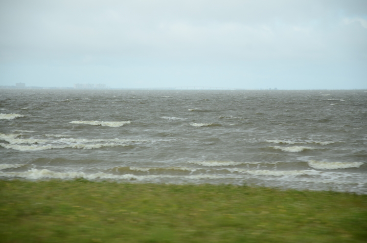 .resize_DSC_0239.JPG