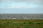 .resize_DSC_0237.JPG