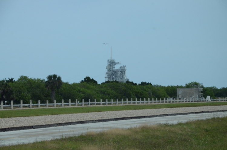 .resize_DSC_7725.JPG