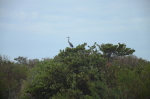 .resize_DSC_7766.JPG