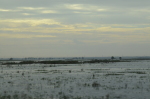 .resize_DSC_7220.JPG