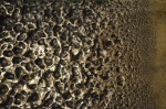 .resize_DSC_0849.jpg