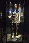 .resize_DSC_1063.jpg