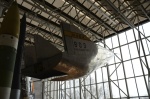 .resize_DSC_1102.jpg