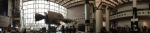 .resize_IMG_3519.JPG