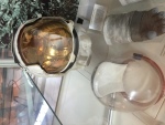 .resize_IMG_3860.JPG